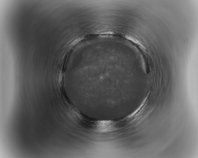 X0000094350192200711021439