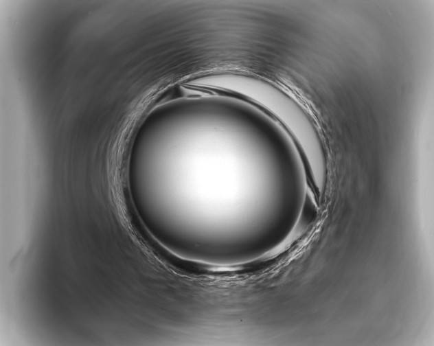 X0000094350193200711021439