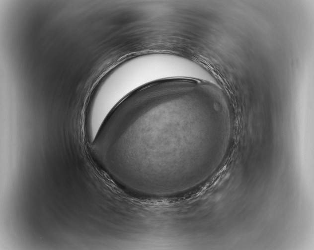 X0000094350194200711021439