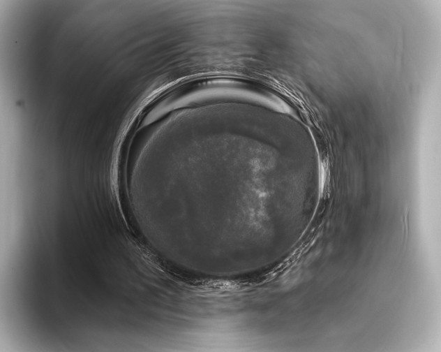 X0000094350195200711021439