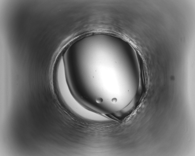 X0000094350199200711021439