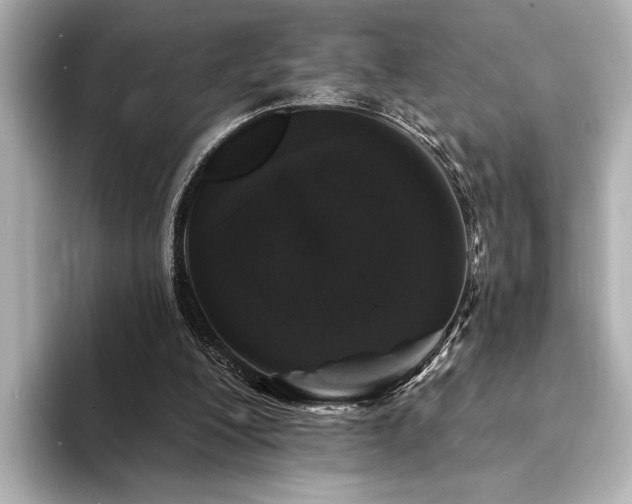 X0000094350200200711021439