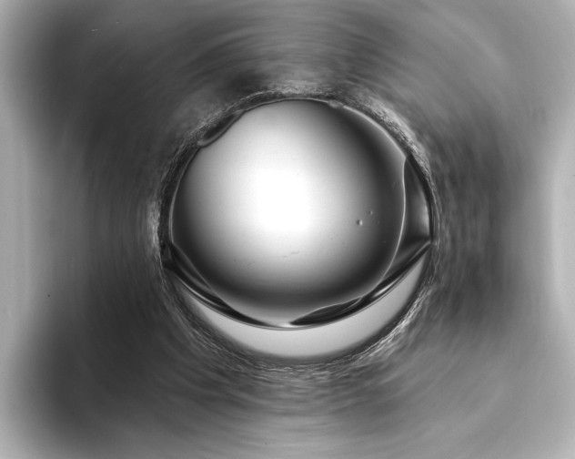 X0000094350201200711021439