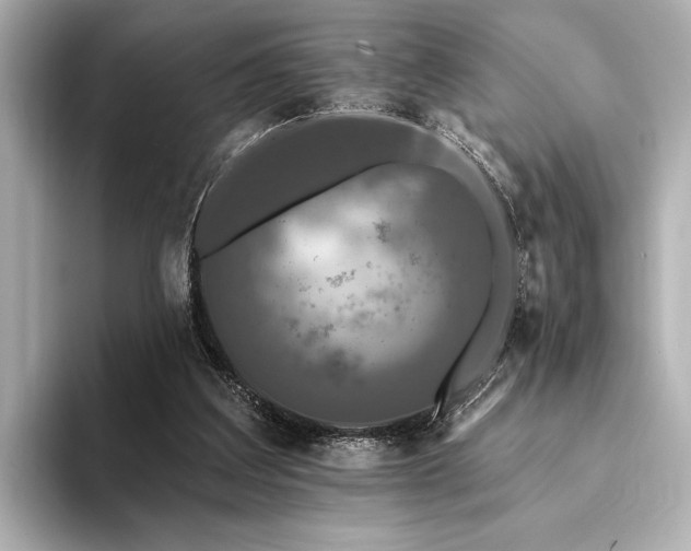 X0000094350203200711021439