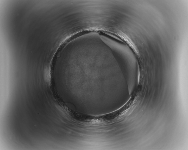 X0000094350204200711021439