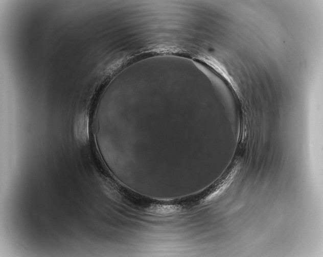 X0000094350205200711021439