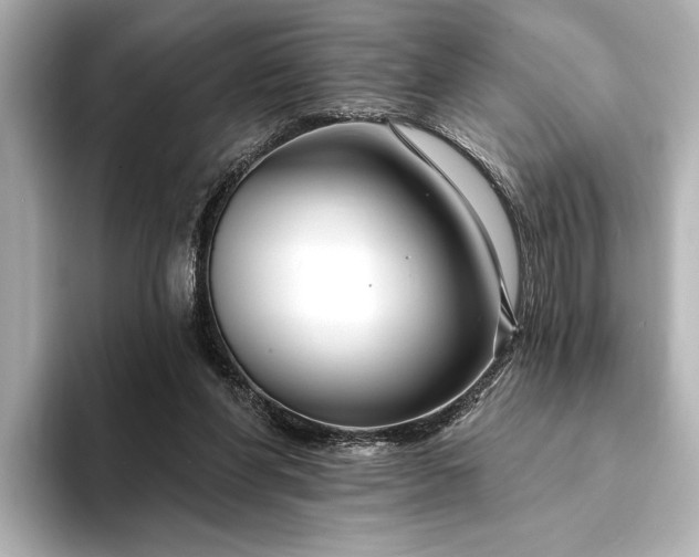 X0000094350206200711021439