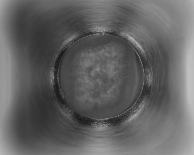 X0000094350207200711021439