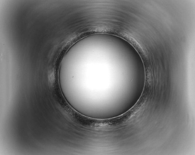 X0000094350208200711021439