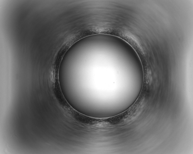 X0000094350210200711021439