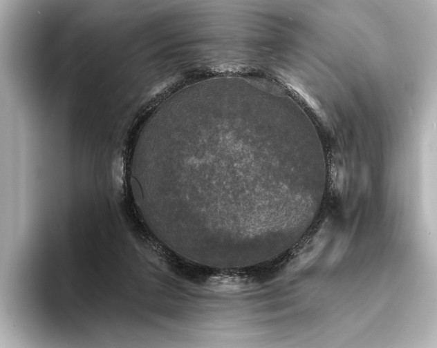 X0000094350211200711021439