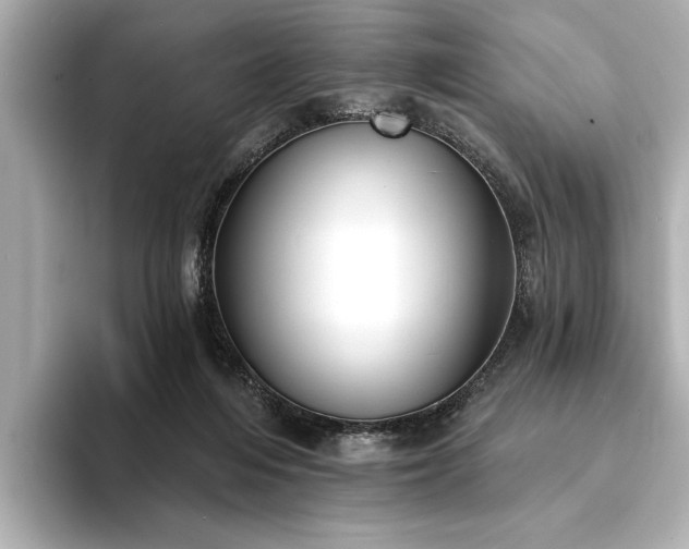 X0000094350216200711021438