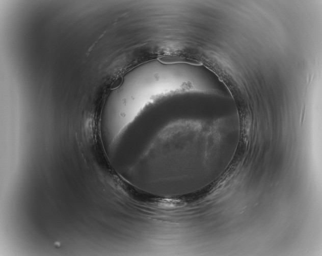 X0000094350222200711021438