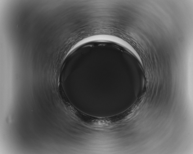 X0000094350223200711021438