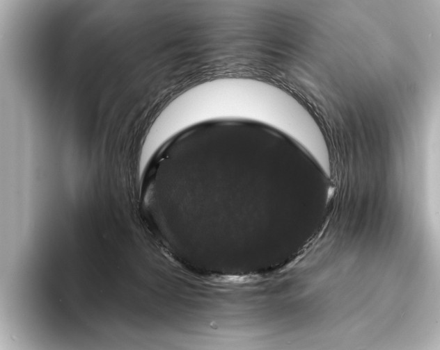 X0000094350224200711021438