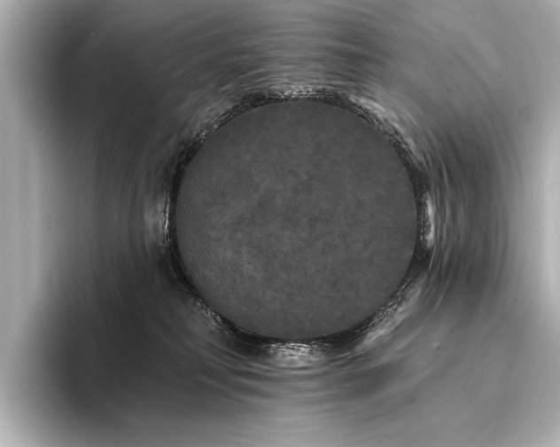 X0000094350230200711021438