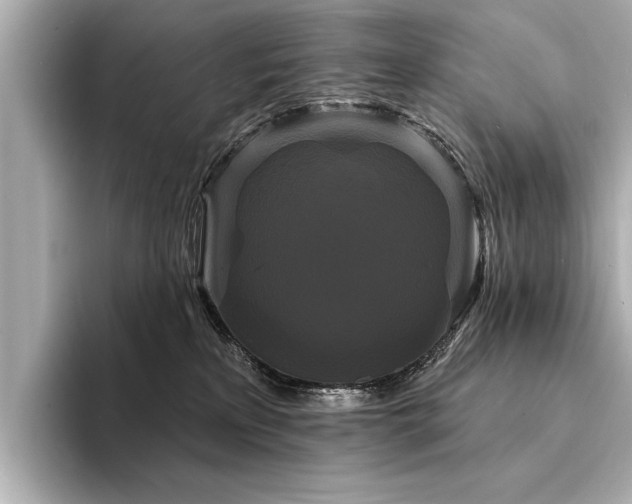 X0000094350233200711021438