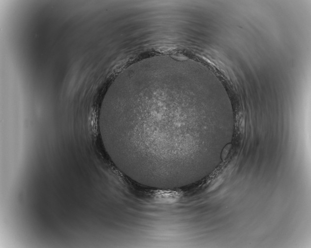 X0000094350234200711021438