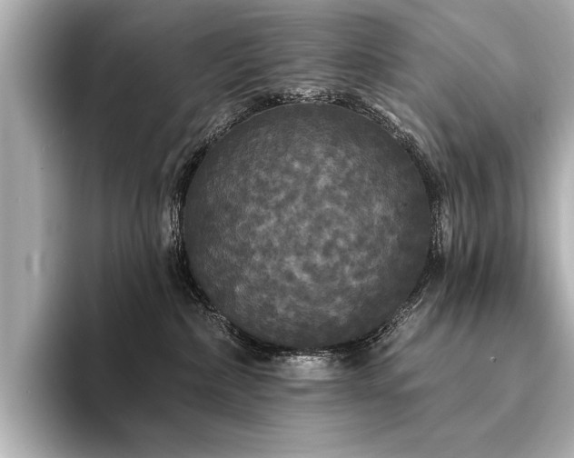 X0000094350236200711021438