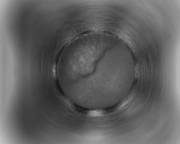 X0000094350238200711021438