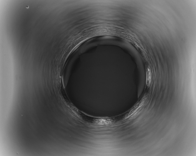 X0000094350239200711021438