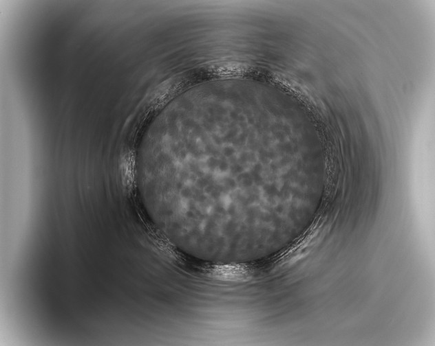 X0000094350240200711021438