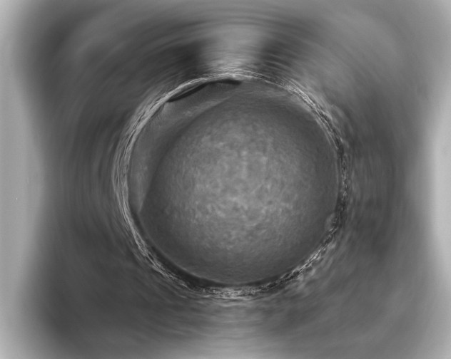 X0000094350241200711021438