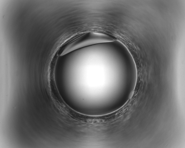 X0000094350242200711021438