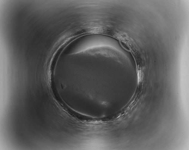 X0000094350243200711021438