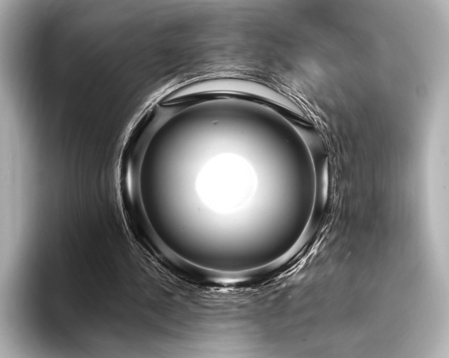 X0000094350244200711021438