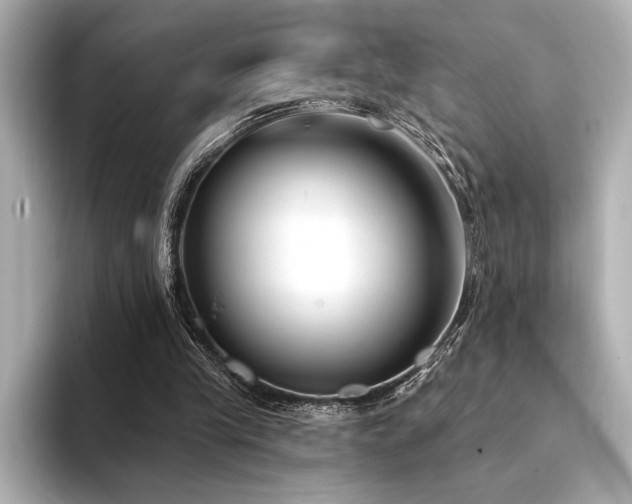 X0000094350245200711021438