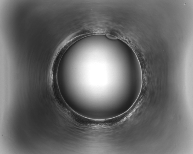 X0000094350246200711021438