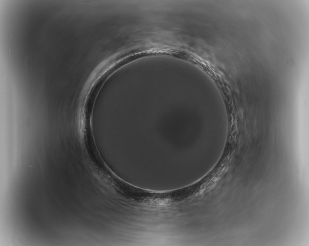 X0000094350247200711021438