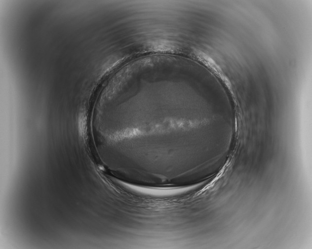 X0000094350249200711021438