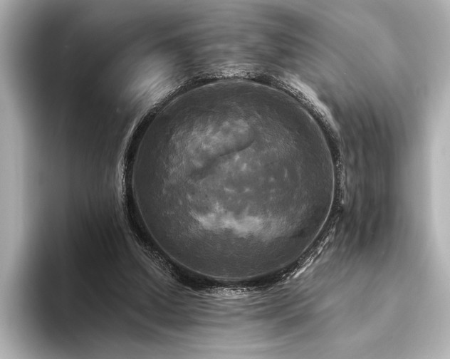 X0000094350250200711021438