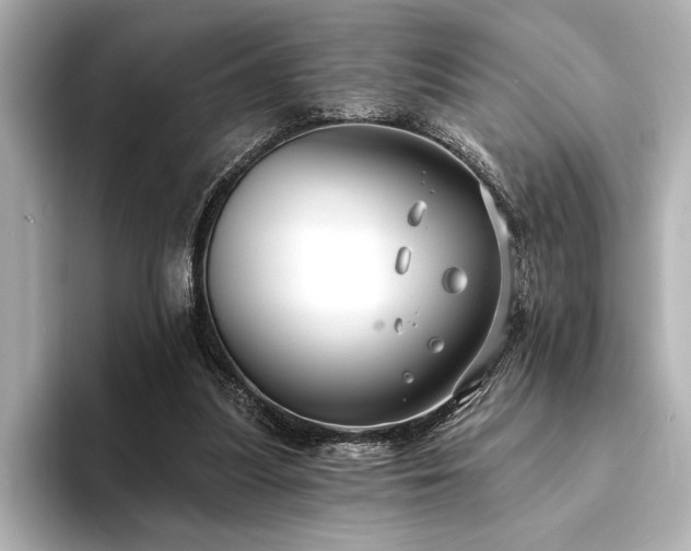 X0000094350251200711021438