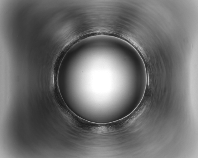 X0000094350253200711021438