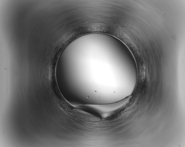 X0000094350255200711021438