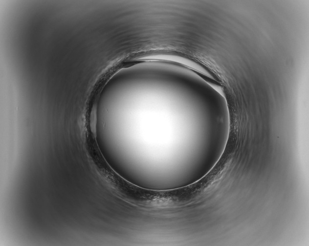 X0000094350256200711021438