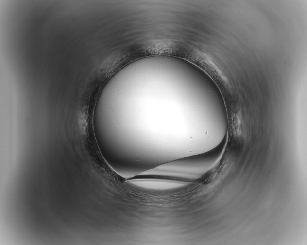 X0000094350259200711021438