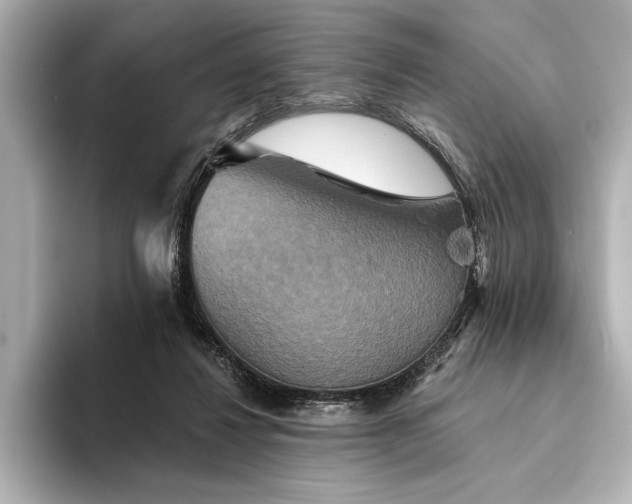 X0000094350260200711021438