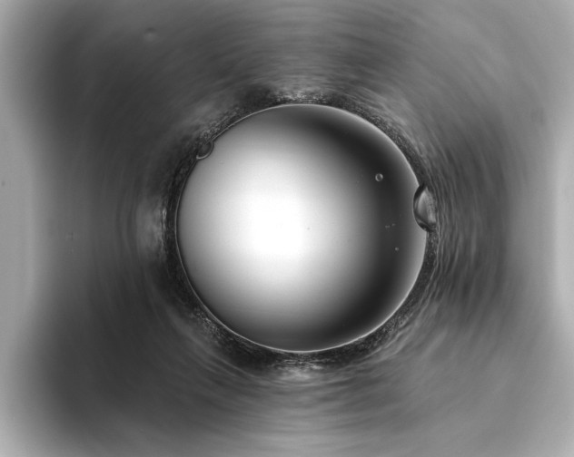 X0000094350263200711021438