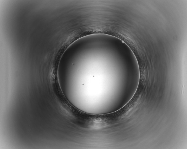 X0000094350264200711021438