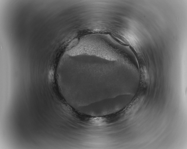 X0000094350269200711021438