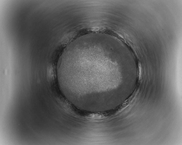 X0000094350272200711021438