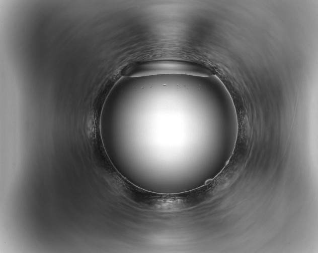 X0000094350274200711021438