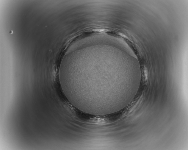 X0000094350276200711021438