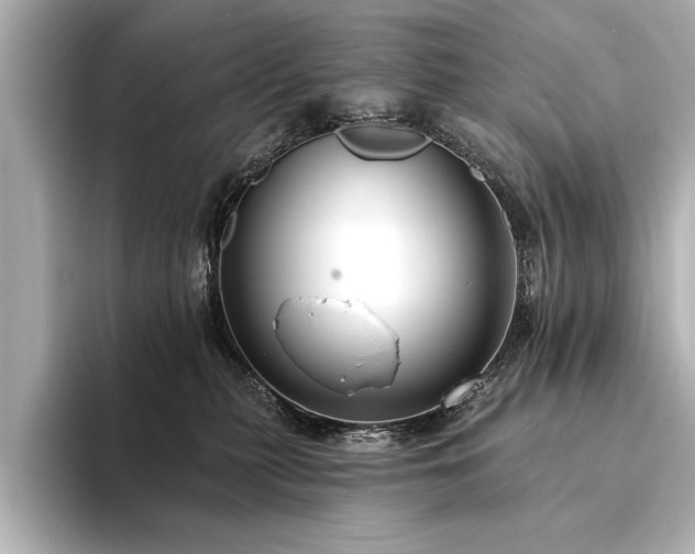 X0000094350279200711021438