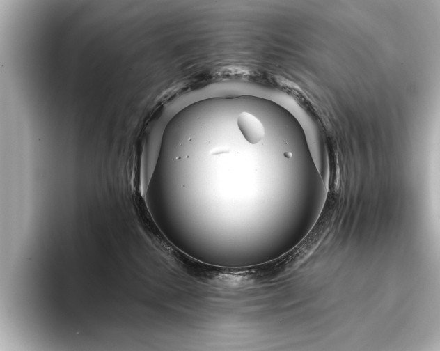 X0000094350280200711021438