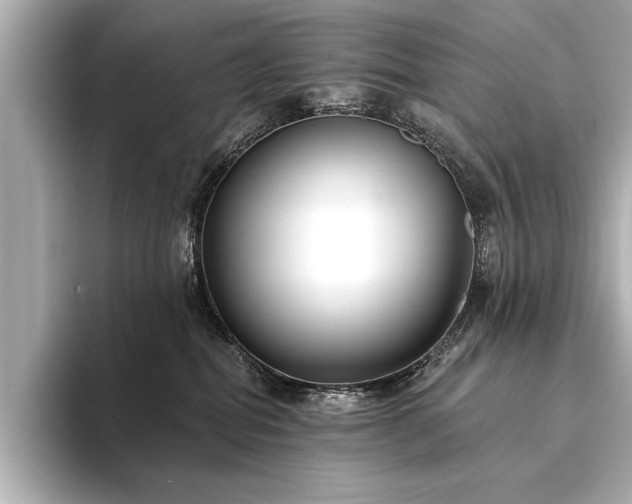 X0000094350282200711021438